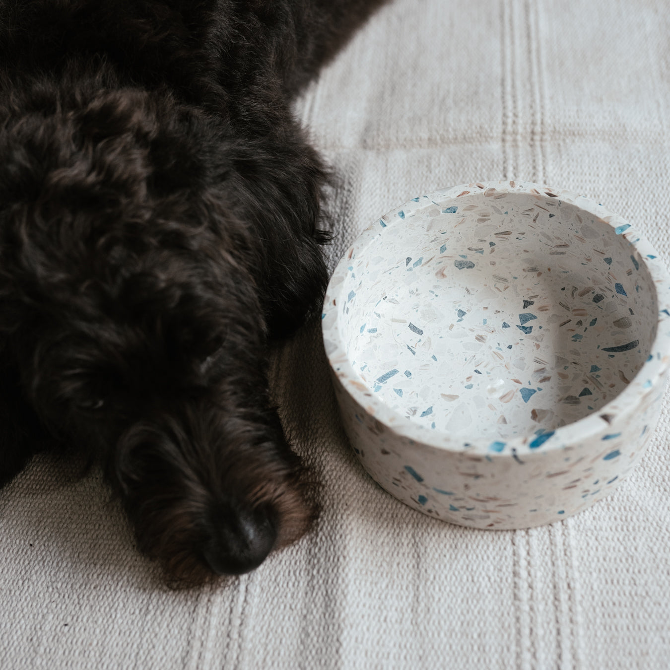 terrazzo dog bowl