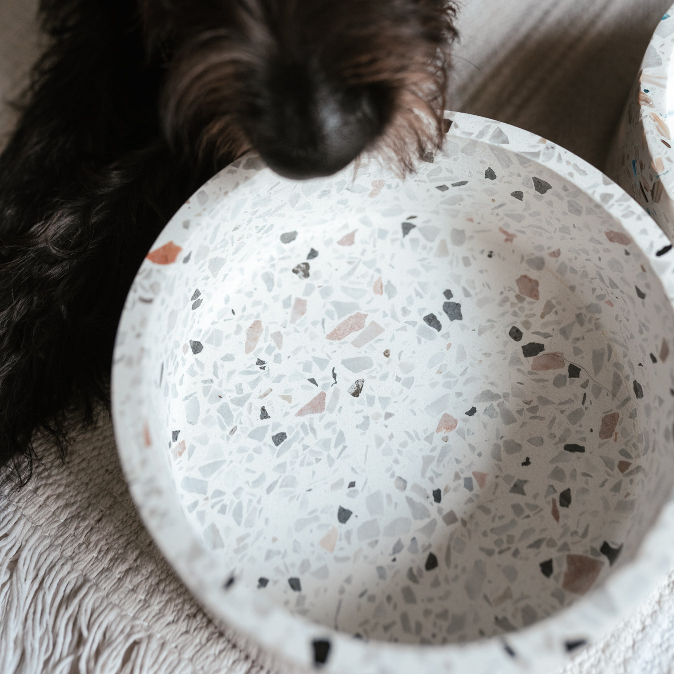 Terrazzo Dog Bowl